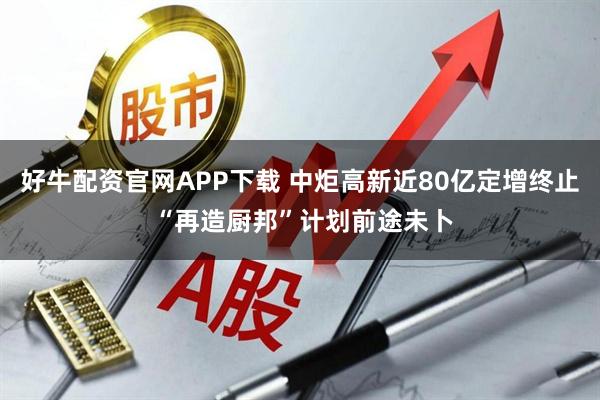 好牛配资官网APP下载 中炬高新近80亿定增终止 “再造厨邦”计划前途未卜